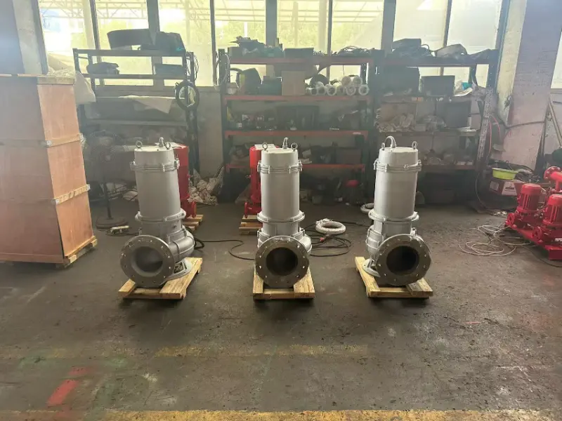 ​How to read the Sewage Pump Model